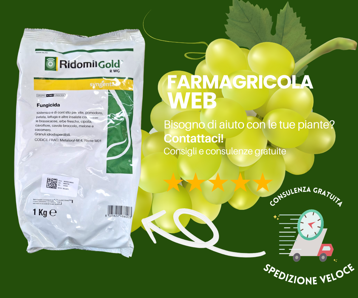 Manamid 100 Sc 1lt Fungicida Per La Lotta Contro La Peronospora Con Patentino